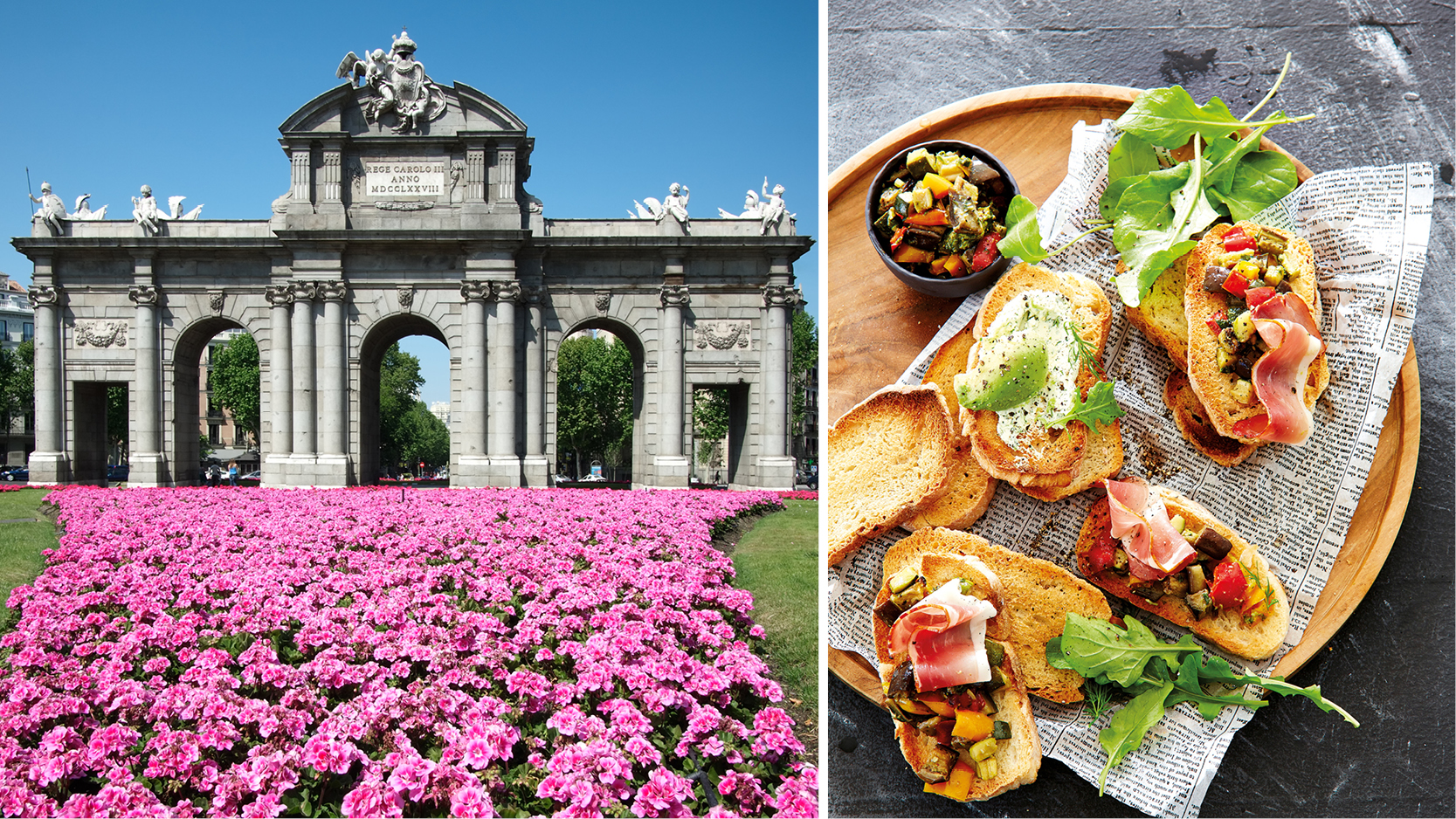 vackra rosa blommor framfr puerta de alcala i madrid och tapas